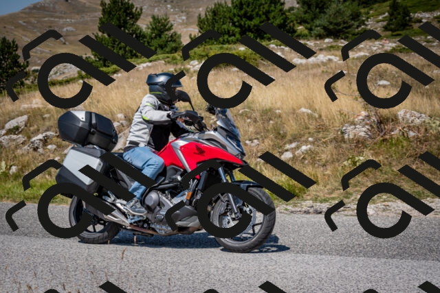 202508091210-DSC_4414_c2