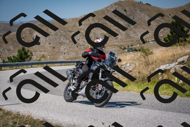 202508091212-DSC_4415_c2