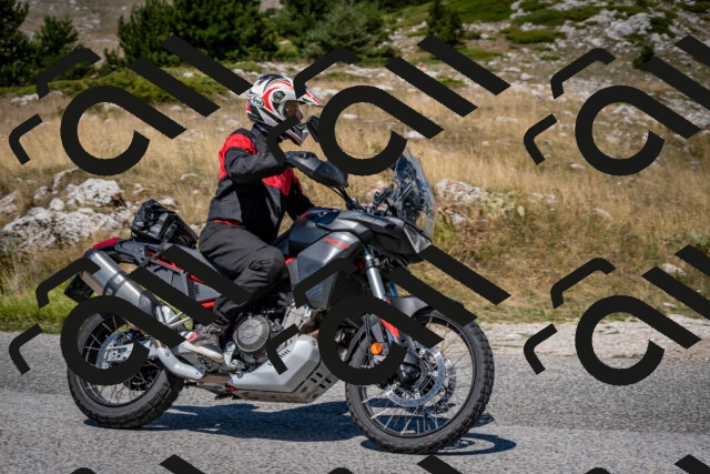 202508091212-DSC_4416_c2