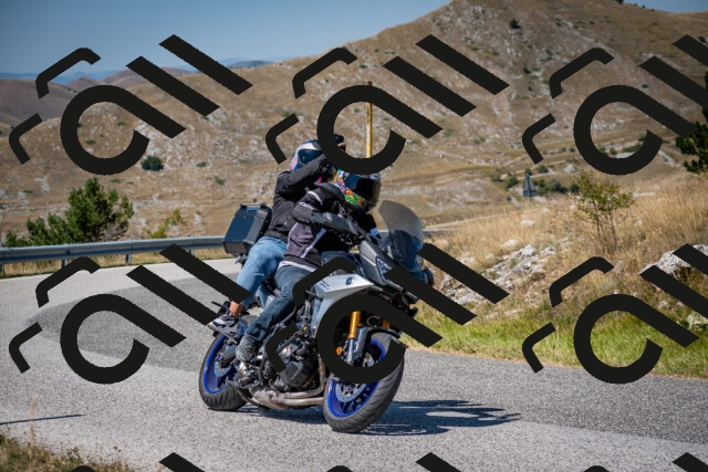 202508091213-DSC_4417_c2