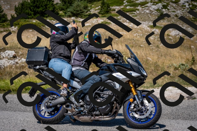 202508091213-DSC_4418_c2