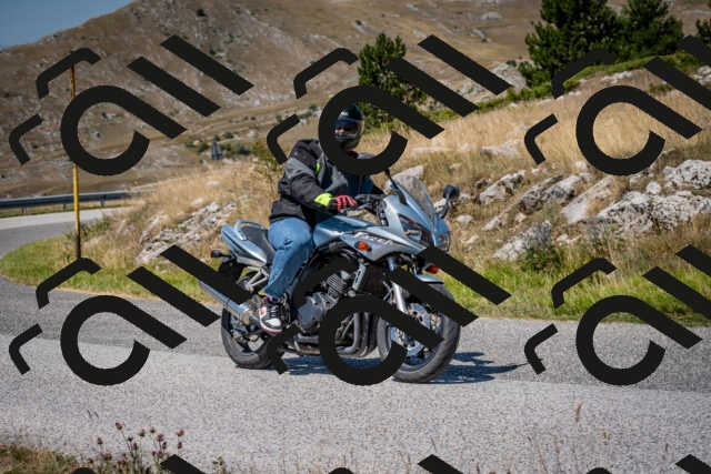 202508091214-DSC_4423_c2