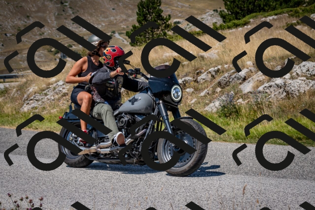 202508091214-DSC_4424_c2