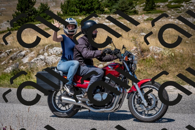 202508091215-DSC_4427_c2