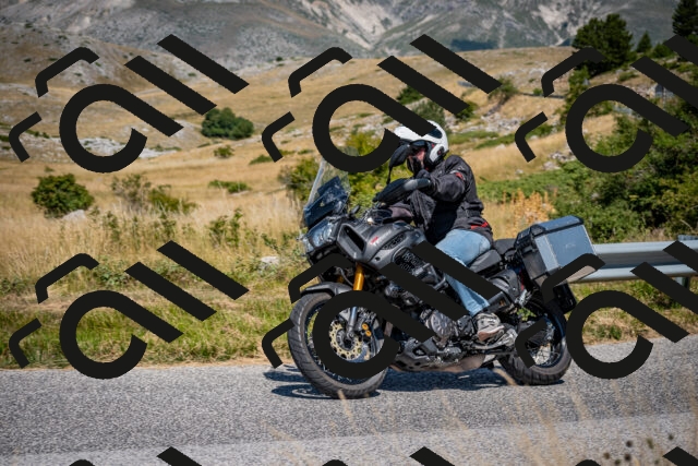 202508091217-DSC_4429_c2