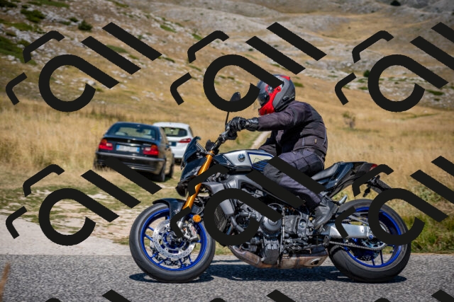 202508091219-DSC_4433_c2