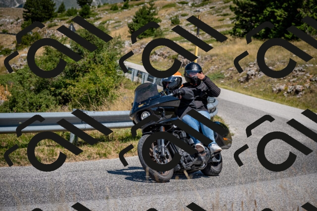 202508091224-DSC_4443_c2