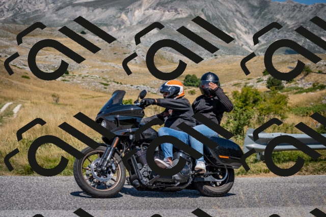 202508091224-DSC_4444_c2