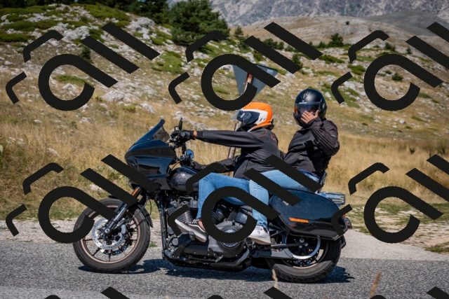 202508091224-DSC_4445_c2