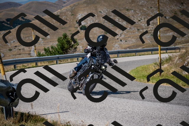 202508091224-DSC_4446_c2