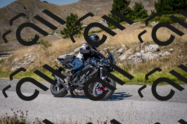 202508091224-DSC_4447_c2