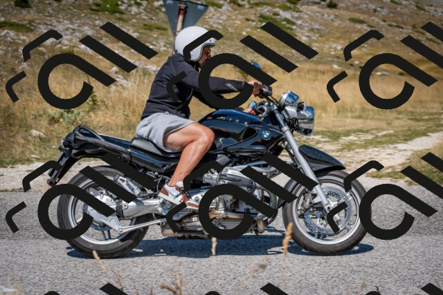 202508091225-DSC_4449_c2