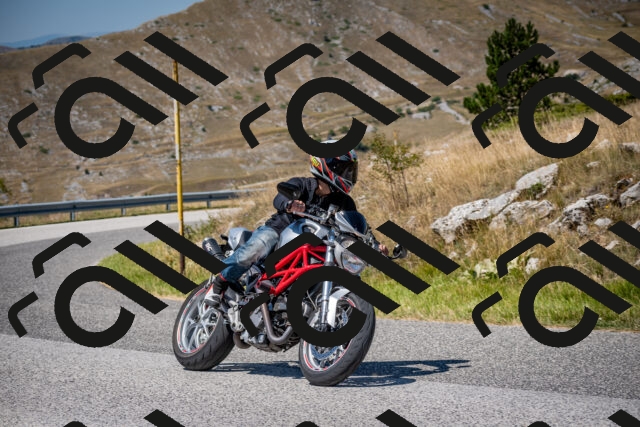 202508091225-DSC_4450_c2