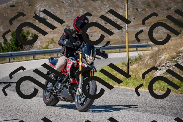 202508091225-DSC_4452_c2