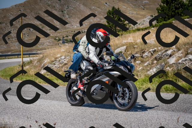 202508091225-DSC_4454_c2