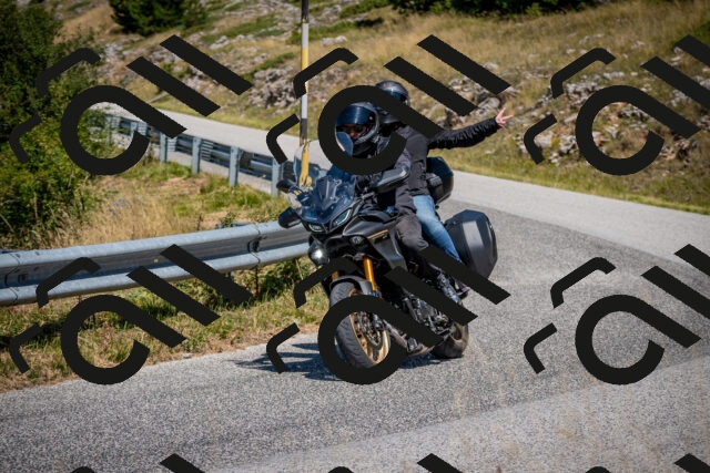 202508091226-DSC_4457_c2