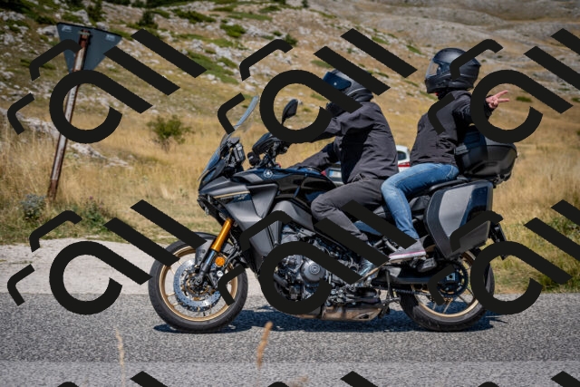 202508091226-DSC_4459_c2