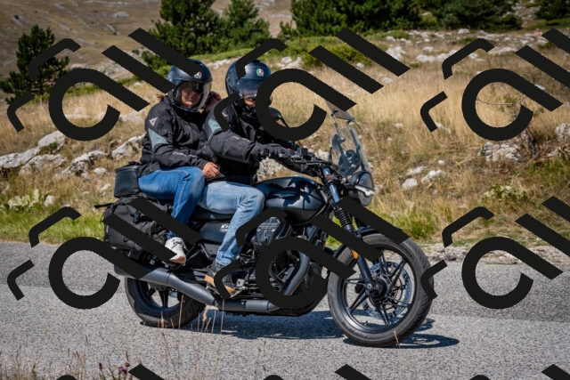 202508091226-DSC_4461_c2