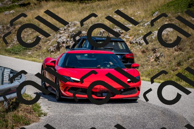 202508091230-DSC_4464_c2