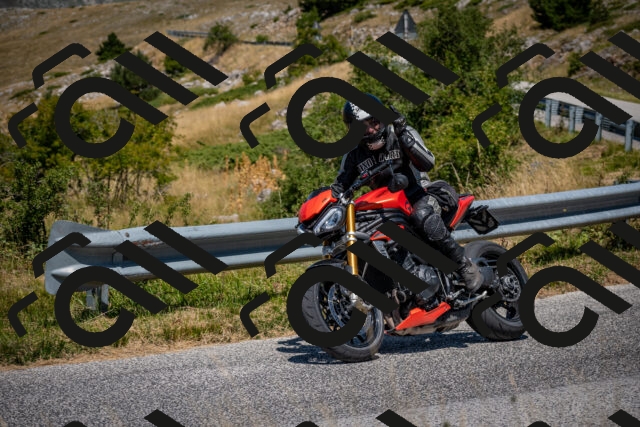 202508091235-DSC_4475_c2