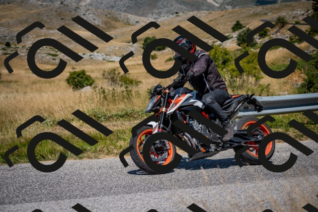 202508091236-DSC_4477_c2