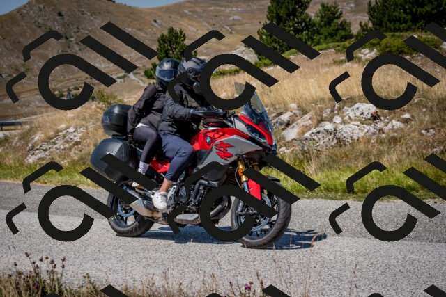 202508091237-DSC_4481_c2