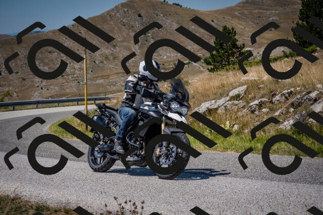 202508091237-DSC_4482_c2