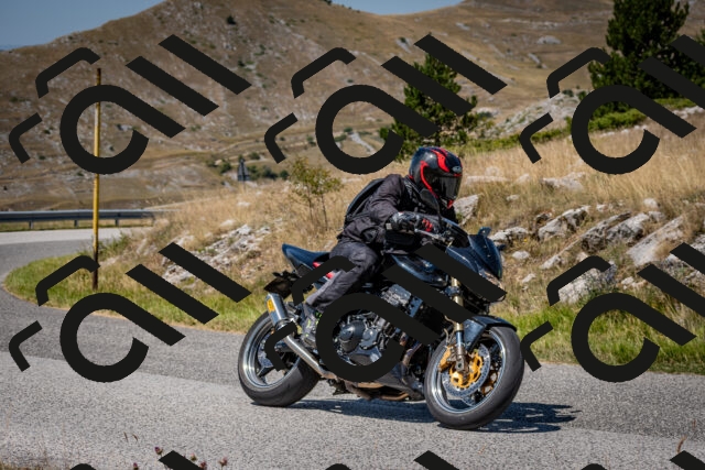 202508091238-DSC_4486_c2