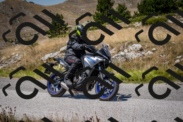 202508091245-DSC_4490_c2