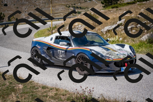 202508091247-DSC_4502_c2