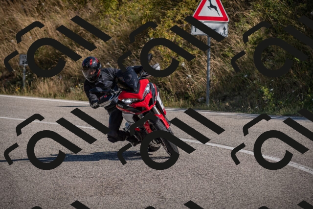 20250809101741-_5009730_am_