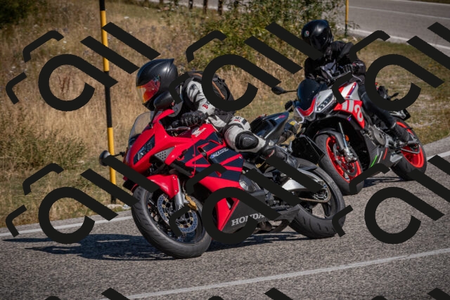 20250809103223-_5009840_am_