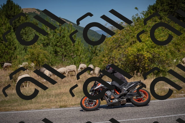 20250809110953-_5000164_am_