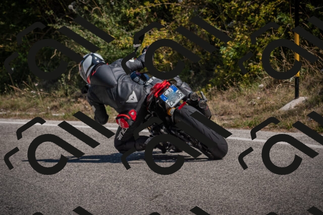 20250809112404-_5000245_am_