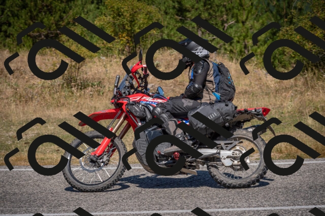 20250809112931-_5000288_am_