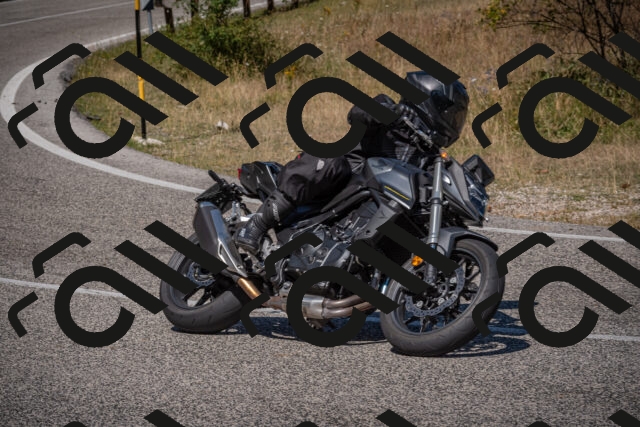 20250809114234-_5000443_am_