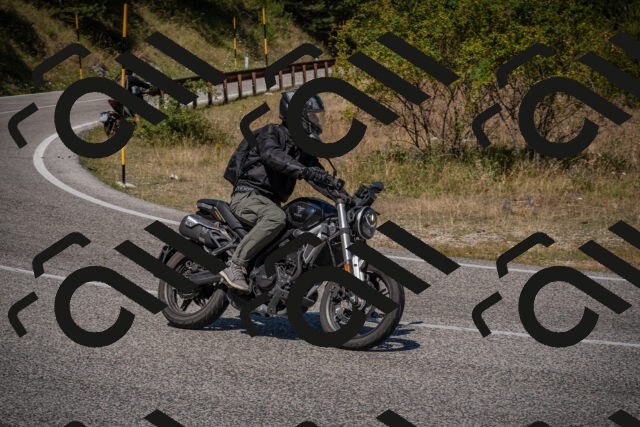 20250809114442-_5000465_am_