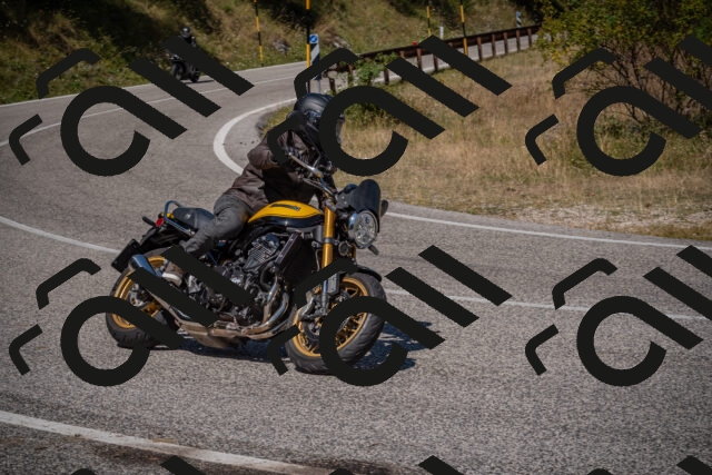 20250809114548-_5000478_am_