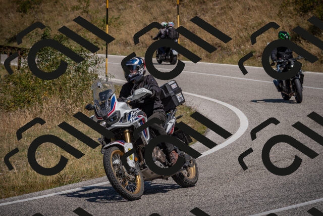 20250809114950-_5000528_am_