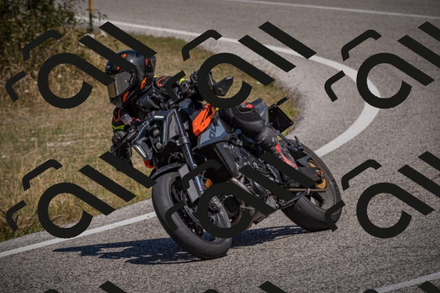 20250809115600-_5000597_am_