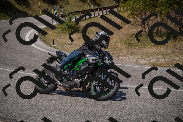 20250809115918-_5000641_am_