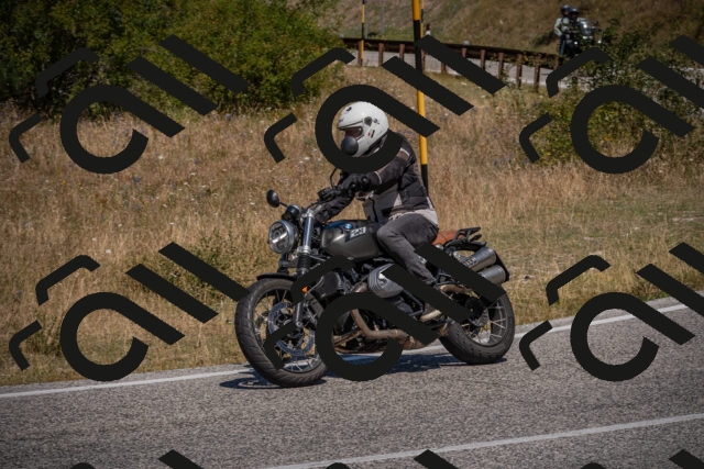 20250809120141-_5000689_am_