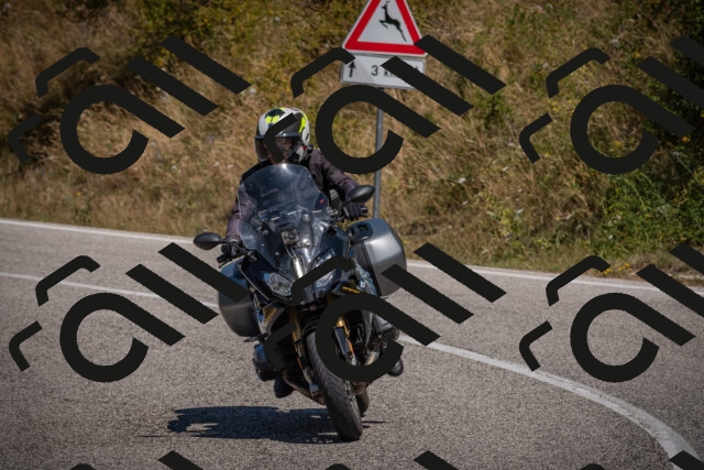 20250809121933-_5000921_am_