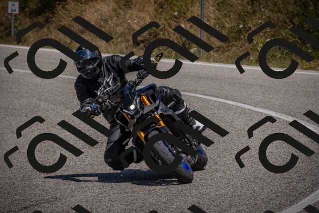 20250809122344-_5000953_am_