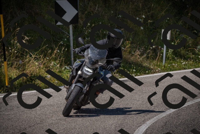 20250809122540-_5000964_am_