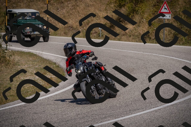 20250809122837-_5001008_am_