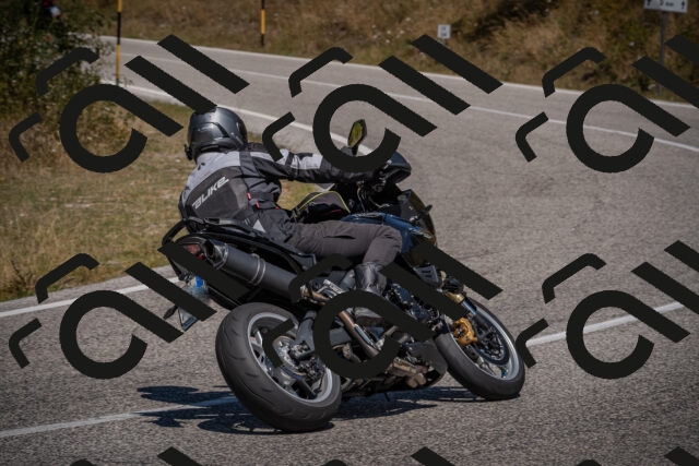 20250809122931-_5001023_am_