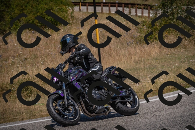 20250809123527-_5001132_am_