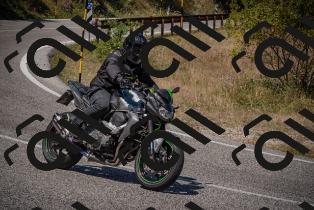 20250809123549-_5001142_am_