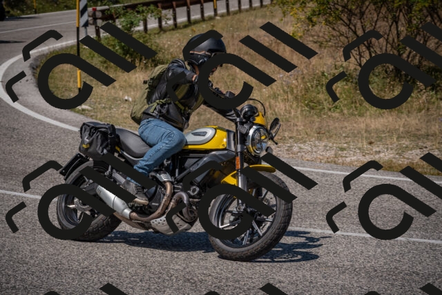 20250809123639-_5001157_am_